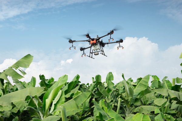 dji, drone, plant protection drone-4204798.jpg